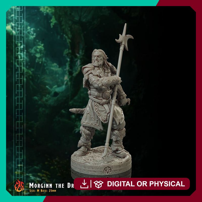 Morginn the Druid