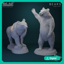 Bears | 32mm STL