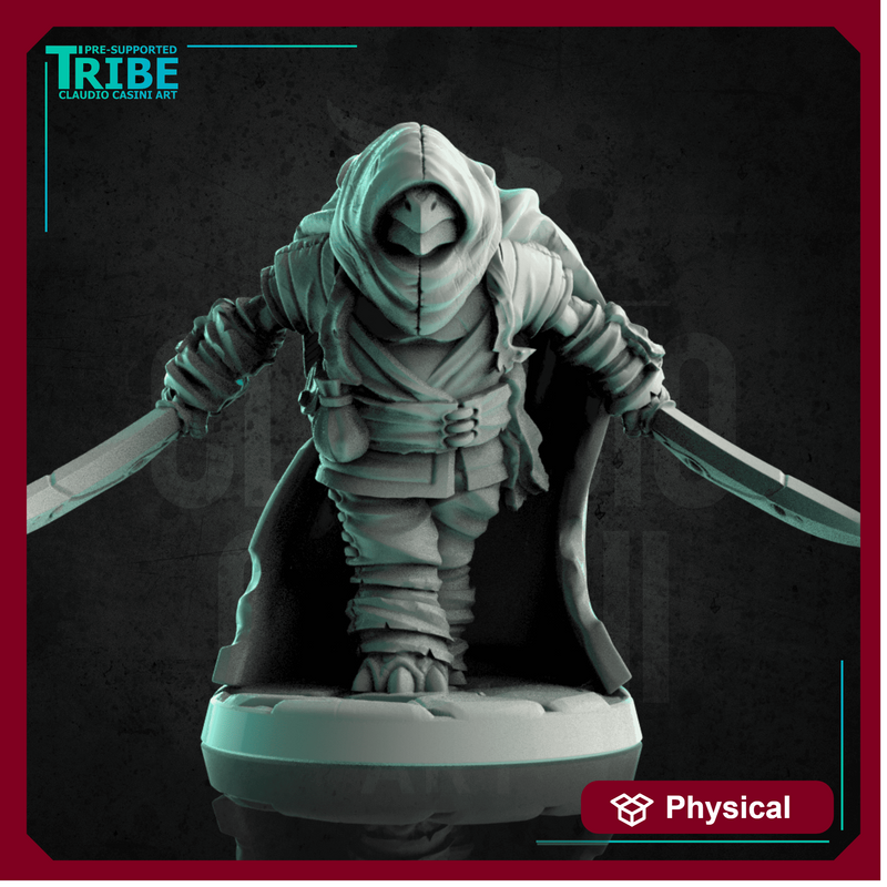 (0200) Male Turtle Rogue Thief with two knives and cape