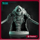 (0200) Male Turtle Rogue Thief with two knives and cape