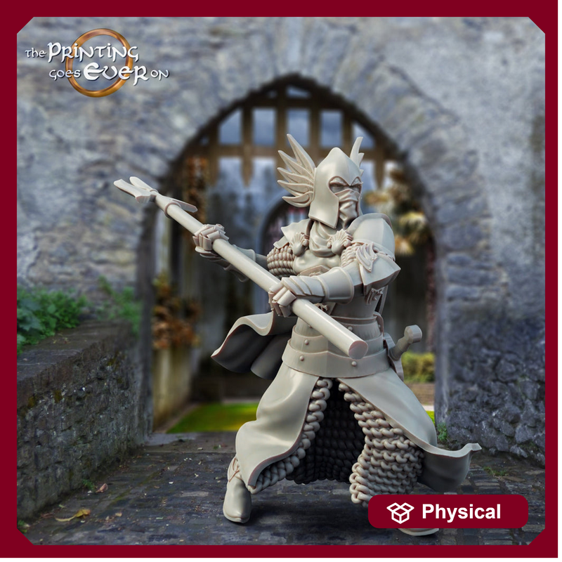 Human Paladin Knight Fighter with Polearm | 28mm, 32mm, 75mm Scales | Pathfinder Figure | DnD 5e | The Printing Goes Ever On | | - Only-Games