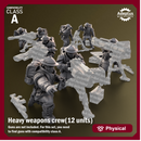 Heavy Weapons Team. Sunclaw Regiment. Imperial Guard. Compatibility class A.