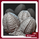 Abominations Eggs