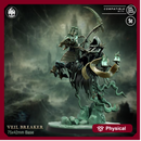 Veil Breaker