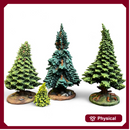 Spruces