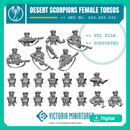 Desert Female Torsos