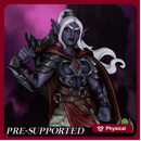 [BUST] Drizara The Dark Elf Warrior [PRE-SUPPORTED] Female Fighter Paladin