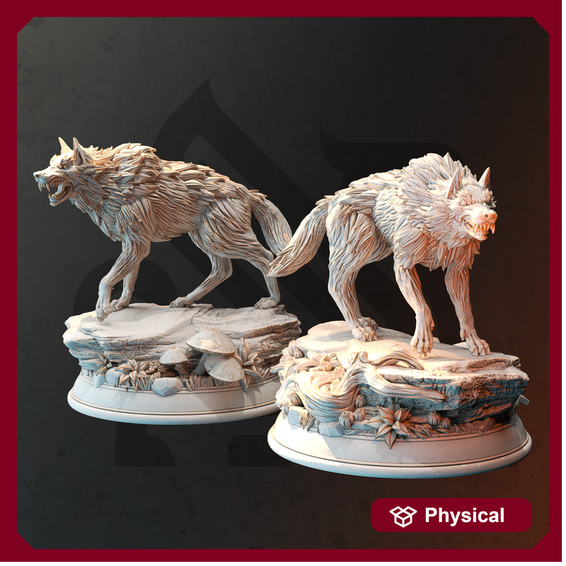 Pair of Northern Direwolves