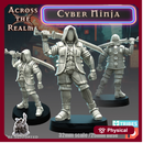Cyber Ninja