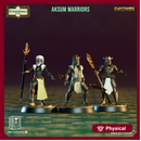 Aksum Warriors