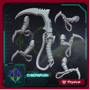 Rapt'Ops Axe set 1
