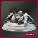 Stone Spider - Kopok