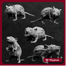 Crypt's Rats x5
