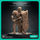 Human Paladin