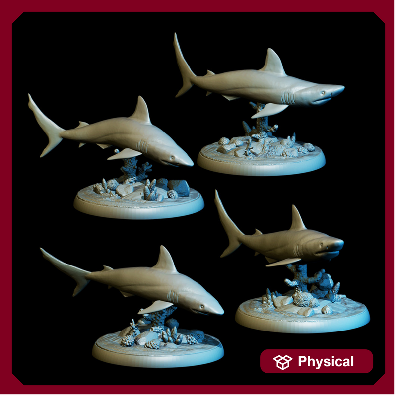 Gray Reef Shark Pack