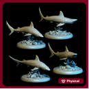 Gray Reef Shark Pack