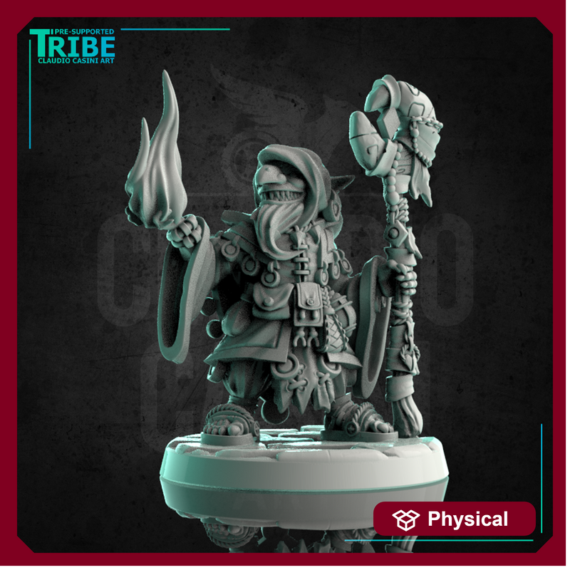 (0188) Male shaman wizard sorceror goblin with magic staf