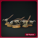 Velociraptor pack 1/20 scale - dinosaur