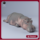 Hippo Sleep 1/43