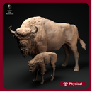European Bison Cow and Calf 1/43
