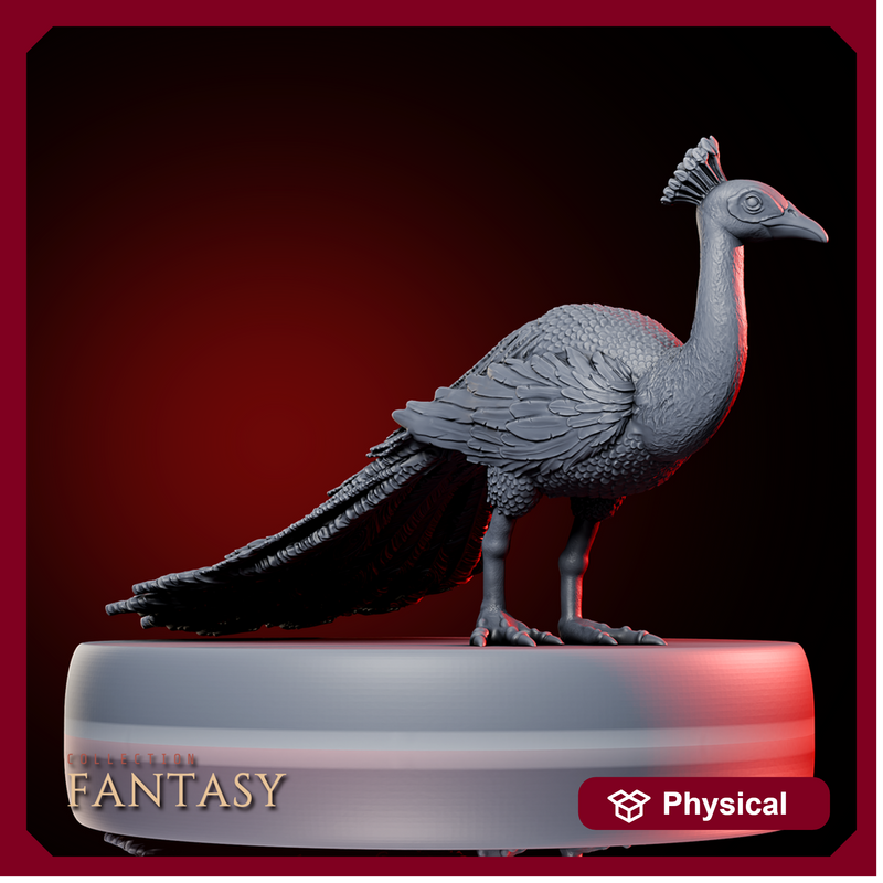Peacock 1 - Only-Games