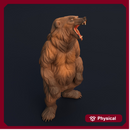 Grizzly Standing