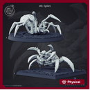 Spiders