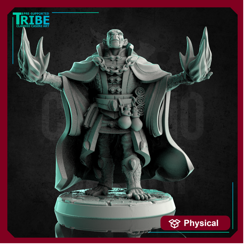 (0238) Male monkey folk monkey man wizard magician evocator with spells