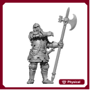 AX037 - Breton Mercenary Captain