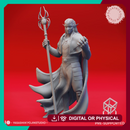 Drow Mage  - Tabletop Miniature (Pre-Supported)