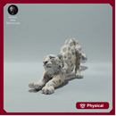 Snow Leopard Stretching 1/43