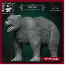 Black Bear