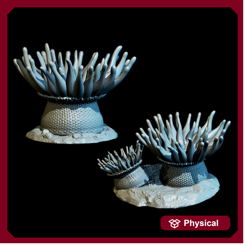 Giant Sea Anemones (2)
