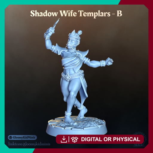 Shadow Wife Templar - B (Female Rogue) - Only-Games