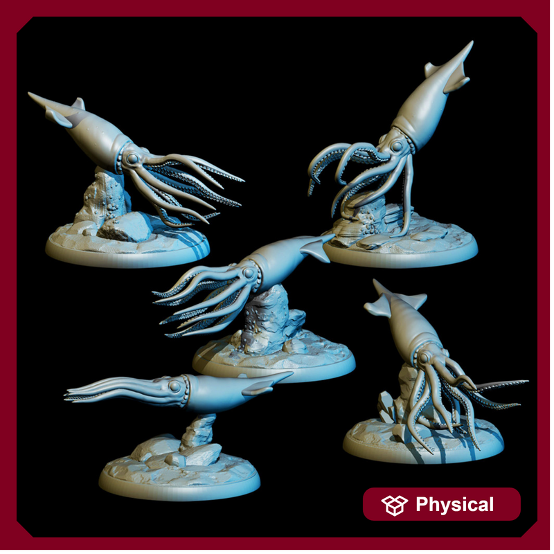 Cordoba Squid Pack (5)