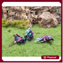 Clash of Rhyfles: Fidwog Wounded