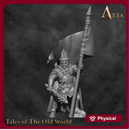 Count Siemenzan banner bearer - NAX020