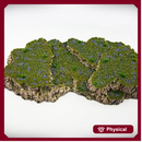 Stepped Hill D: Stepped Hills Terrain Set
