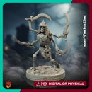 Four Armed Skeleton