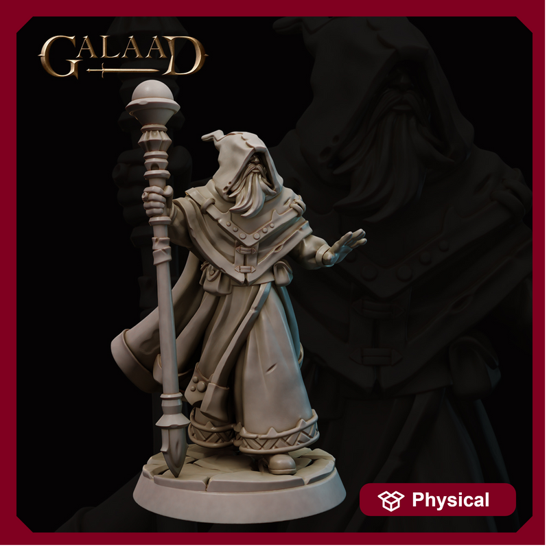 Wizard Protector