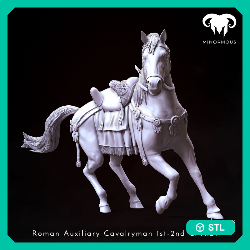 Horse - Roman Auxiliary Cavalryman 1st-2nd C. A.D. Riding with Rome!