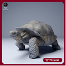 Galapagos Giant Tortoise 1/87