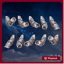 Stormpride Sisters Arms Set x10