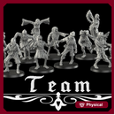 Cemetery Gate Fantasy Football team 16 miniatures