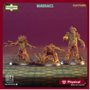 Mandrakes