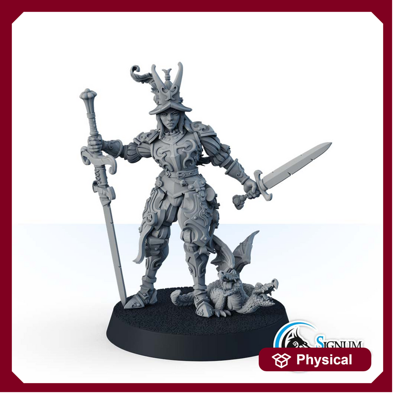 Guard with two swords, the Red Falcon infantry