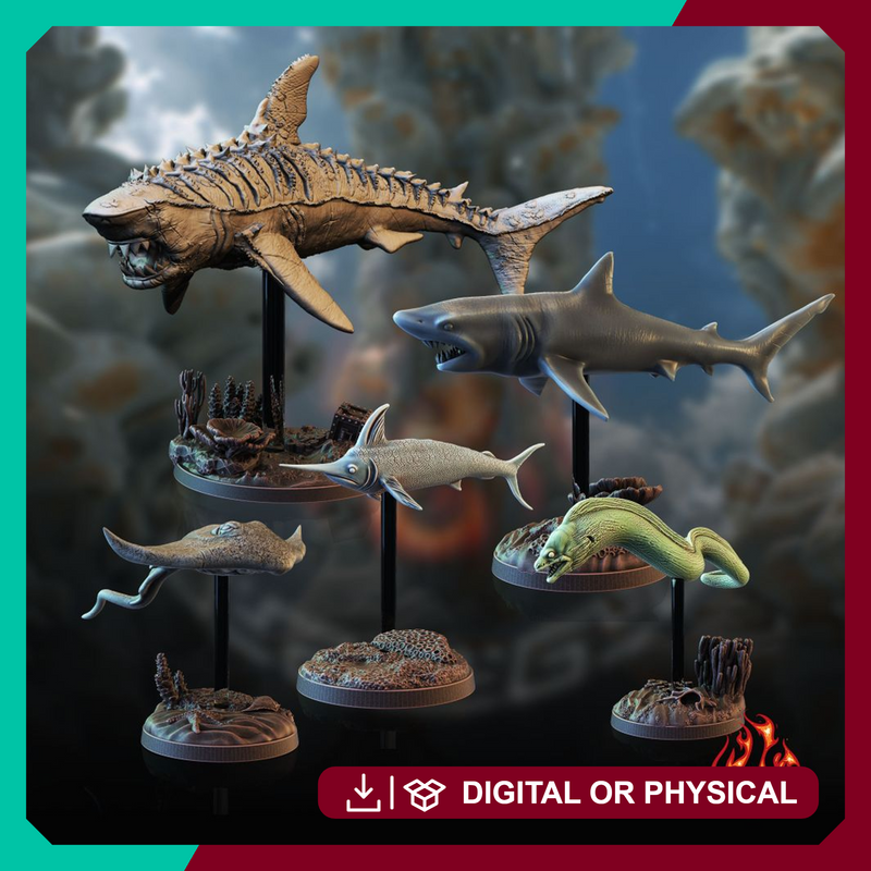 Aquatic Creatures