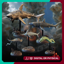 Aquatic Creatures