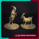 Pair of Goats