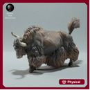 Himalayan Wild Yak Stance